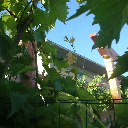 Apartmani Mislav Slatine Exterior photo
